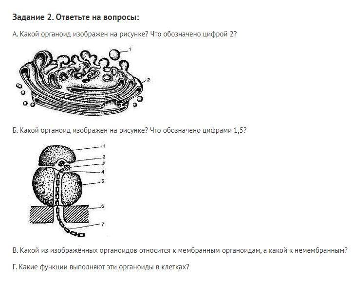 Егэ биология