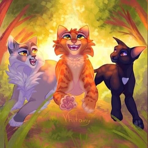 Коты Воители Огнезвёзд и Крутобок
