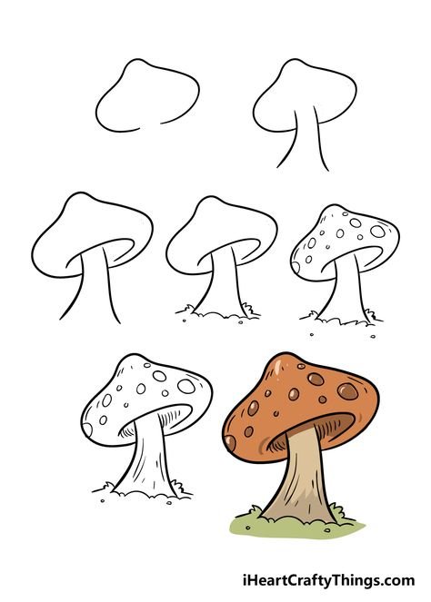 Рисунки грибов
