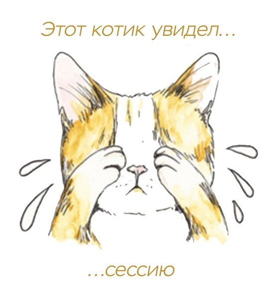 Кот наплакал фразеологизм