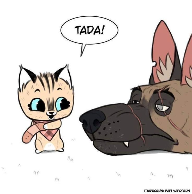 Котёнок Пикси и пёс брут