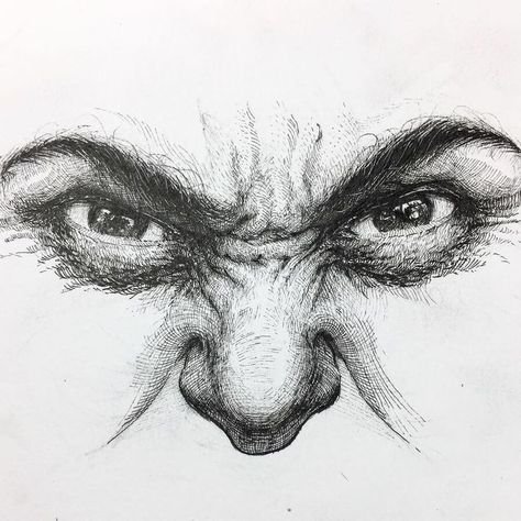 Зарисовки злости