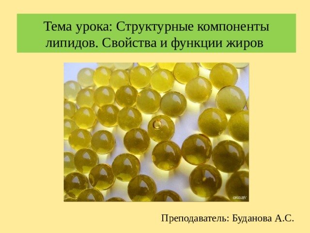 Липиды изображение