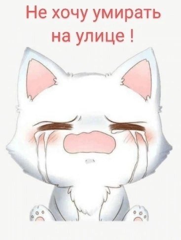 Грустный котик арт