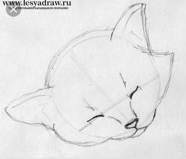 Кошка рисунок карандашом