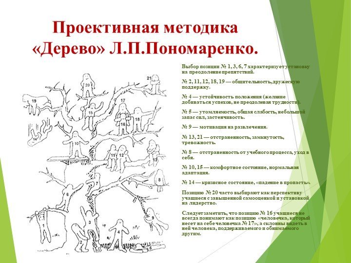 Проективная методика дерево Лампен