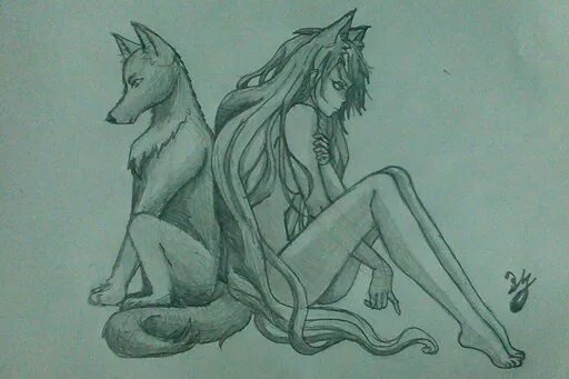 Волчица рисунок карандашом