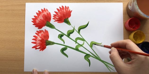 Гвоздики красивые