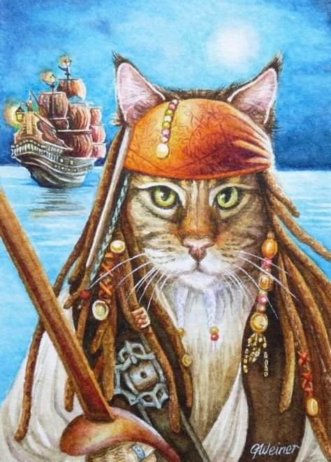 Кот пират арт