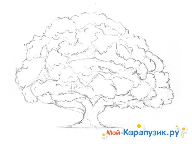 Дерево для срисовки