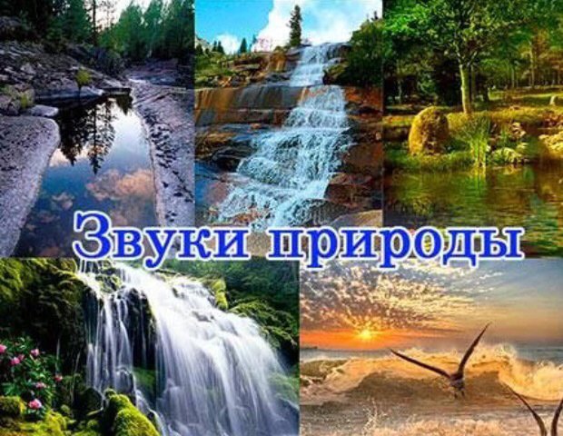 Презентация звуки природы