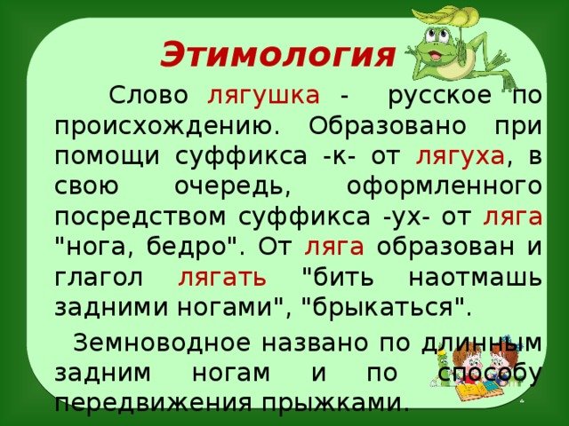Этимология слова