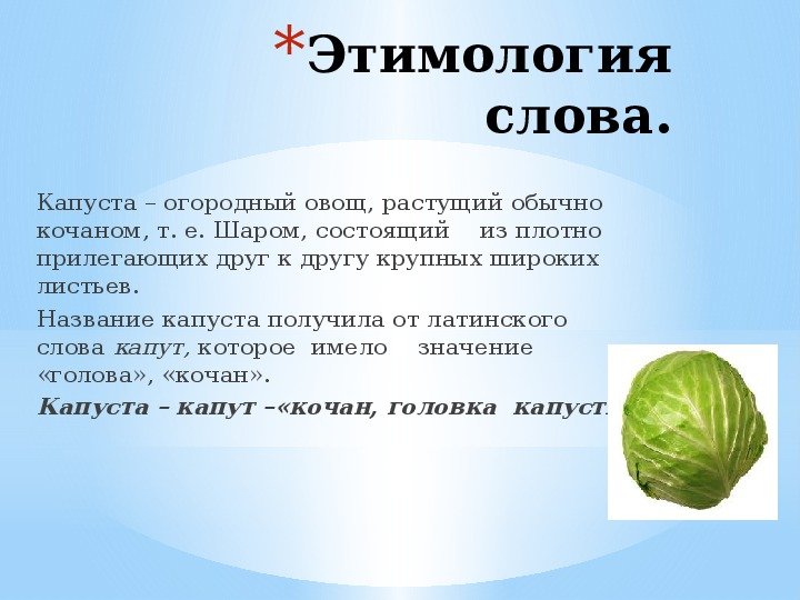 Расскажите о капусте