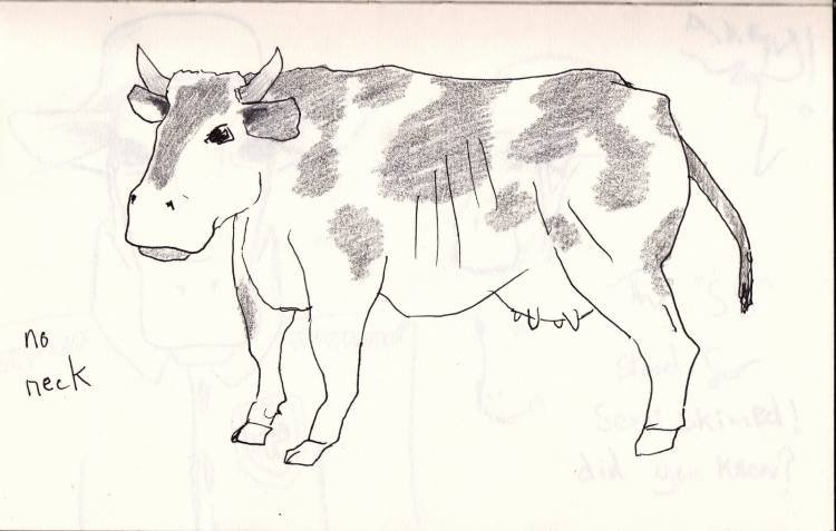 Рисунок коровы для срисовки