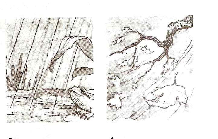 Рисунки карандашом природа