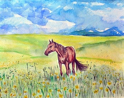 Зона степей