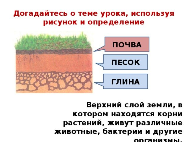 Из чего состоит почва схема