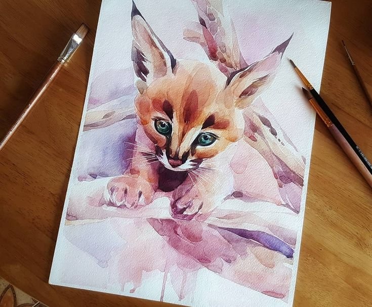 Каракал рисунок акварелью