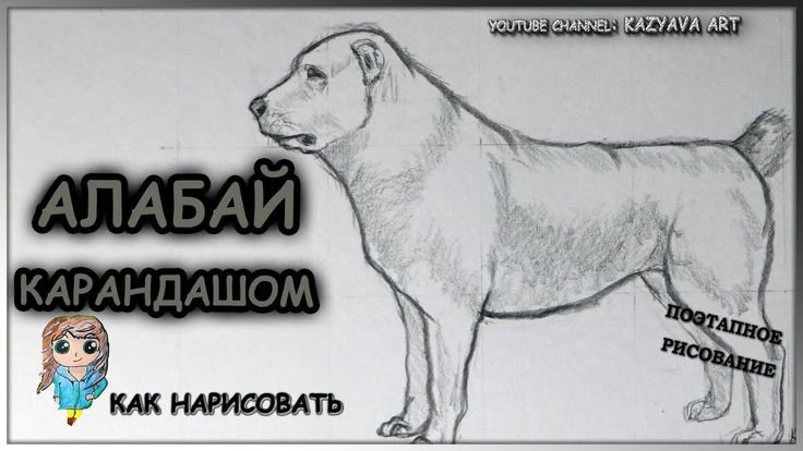 Алабай рисунок