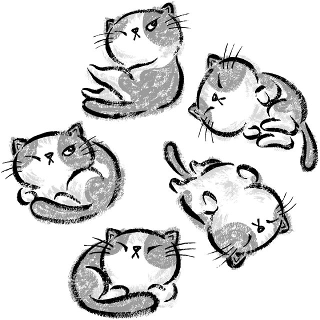 Коты скетчи