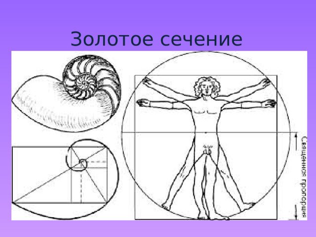 Золотое сечение Леонардо да Винчи пропорции человеческого тела