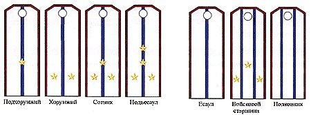 Погоны рисунок
