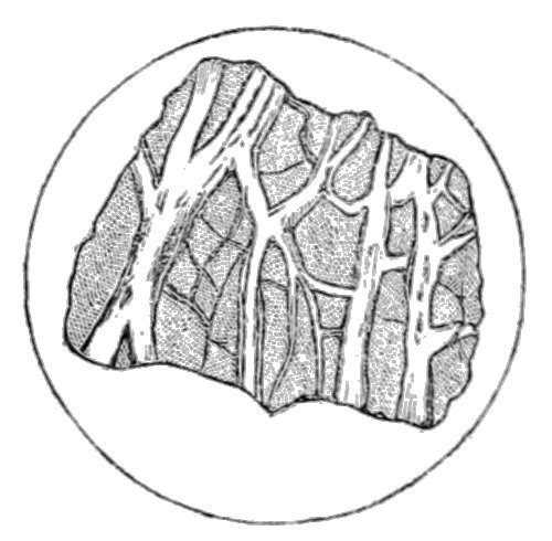 Геология рисунок