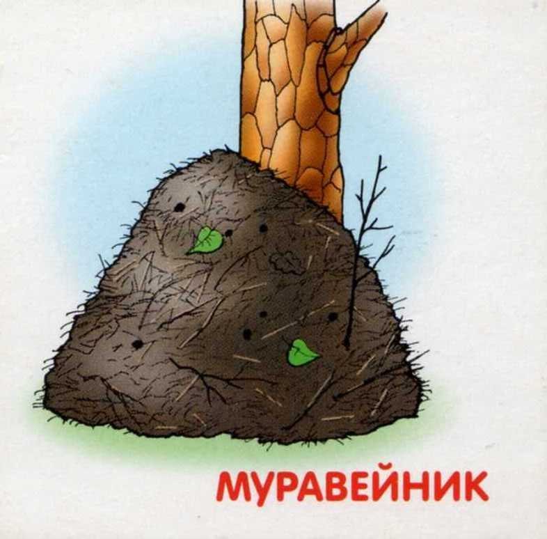 Изображение муравейника для детей