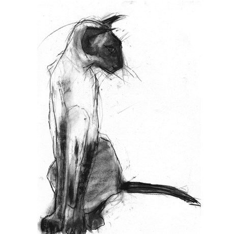 Уголь для рисования