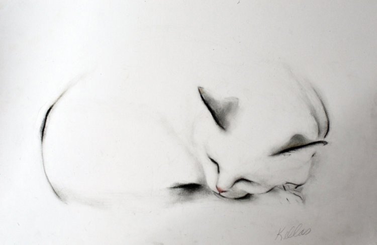 Kellas Campbell кошки