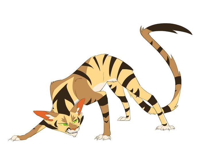 Longtail коты Воители
