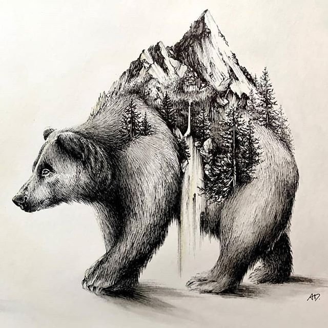 Медведь рисунок карандашом