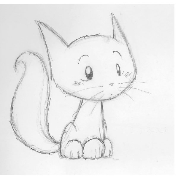 Рисунки котиков