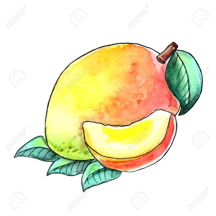 Рисунки фруктов для срисовки