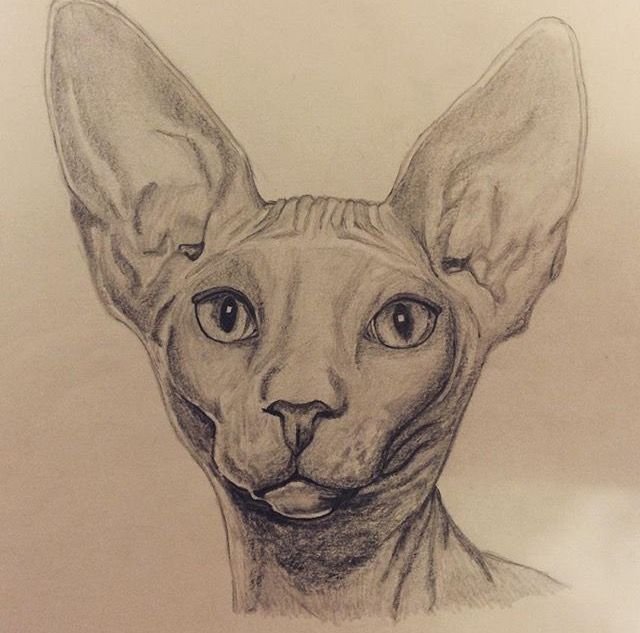 Рисуем сфинкса карандашом