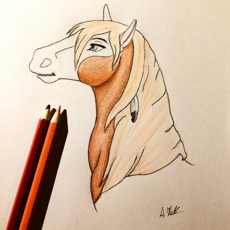 Рисунок коня для срисовки