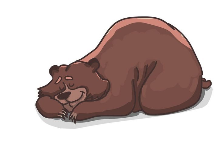 Медведь спит