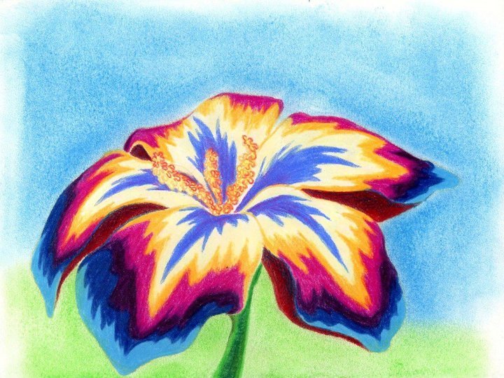 Рисунки цветов цветные
