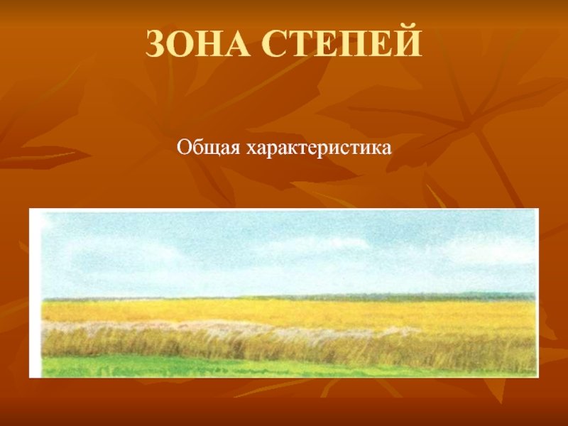 Зона степей рисунок легкий