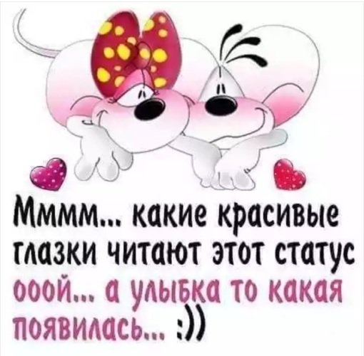 Прикольные статусы для ватсапа