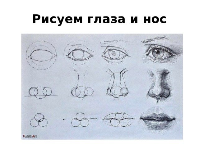 Зарисовки частей лица