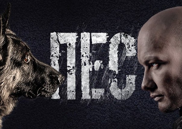 Пёс сериал пёс 5 сериал