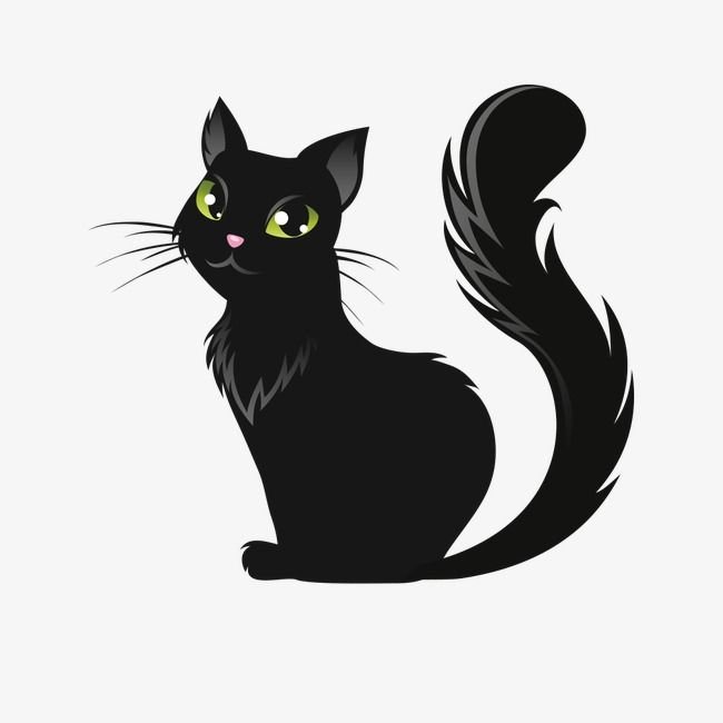 Черная кошка на прозрачном фоне