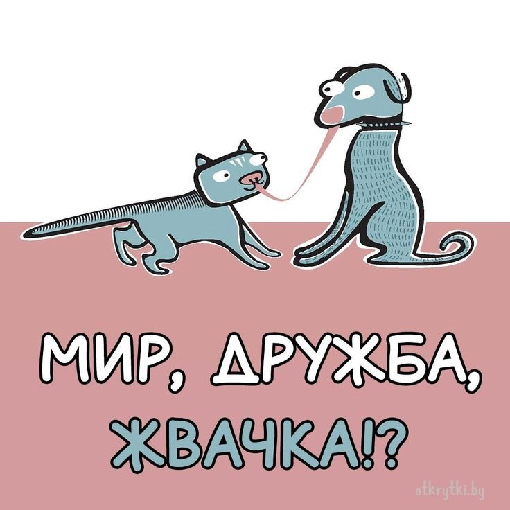 Мир Дружба жвачка открытка