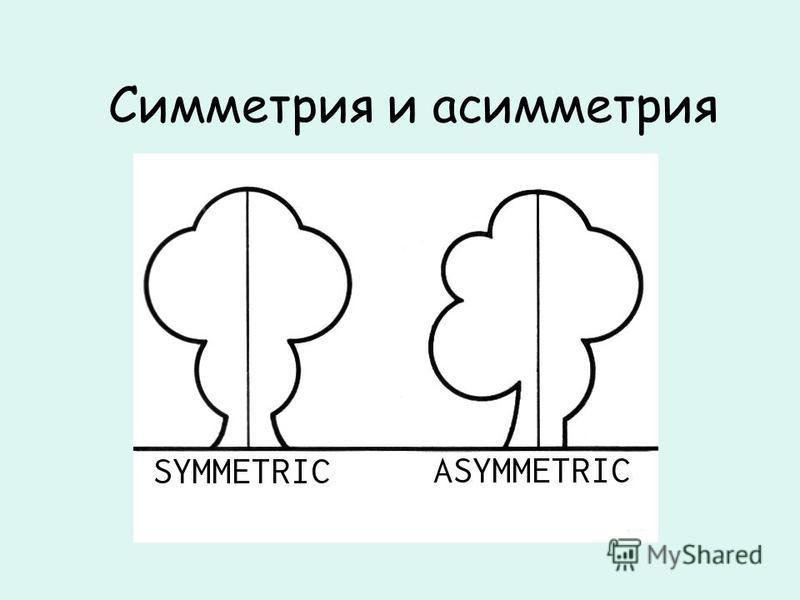 Симметричные и асимметричные фигуры