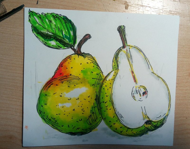 Груша рисунок