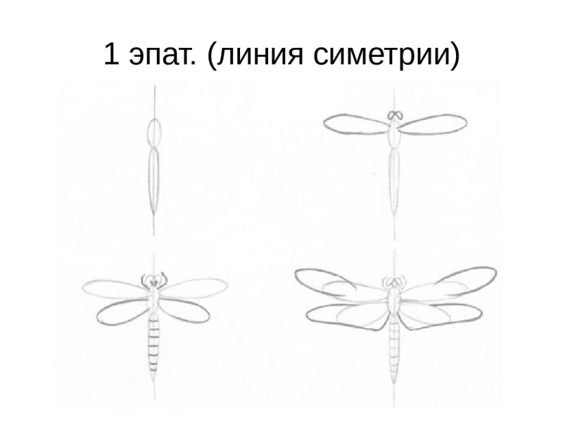 Стрекоза рисунок пошагово