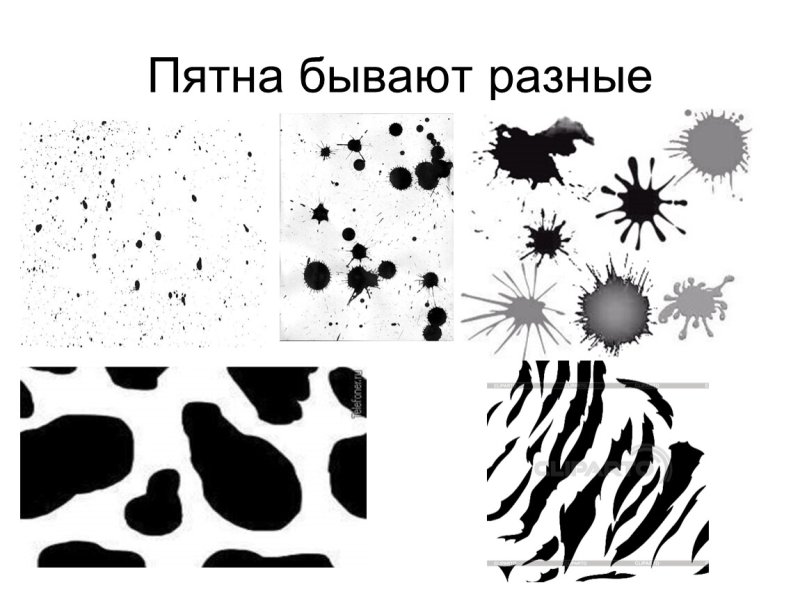 Ритм пятен