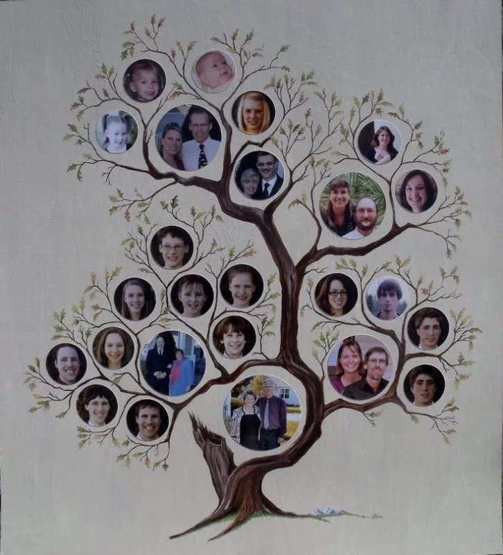 Генеалогическое Древо Family Tree