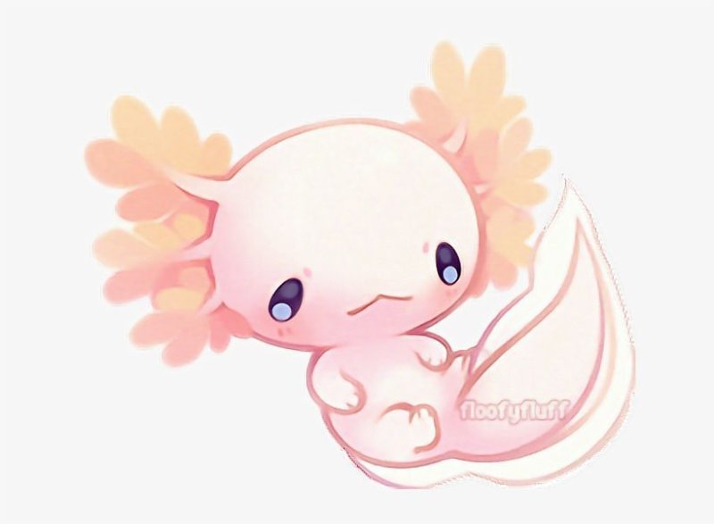 аксолотль кавайи